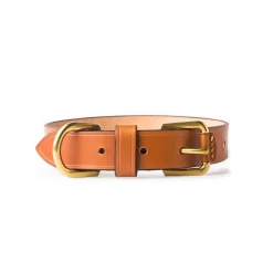 Large Leather Dog Collar In Mid Tan