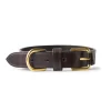 Medium Leather Dog Collar In Dark Tan